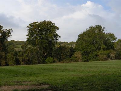 Picture 37